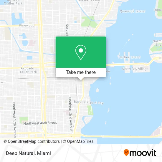 Deep Natural map