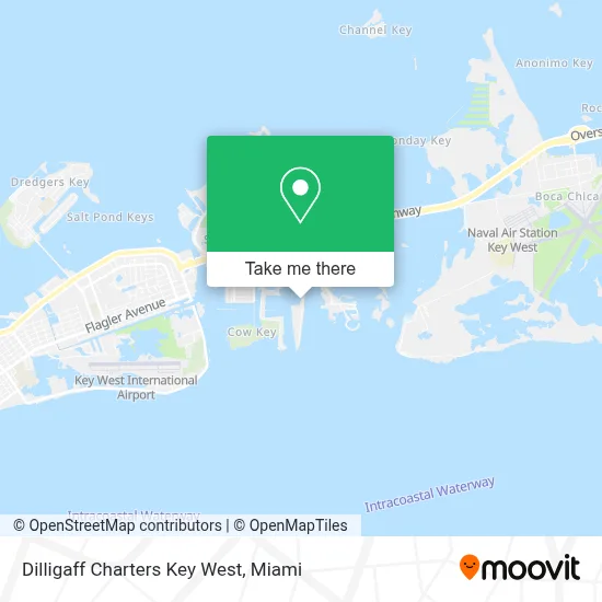 Dilligaff Charters Key West map