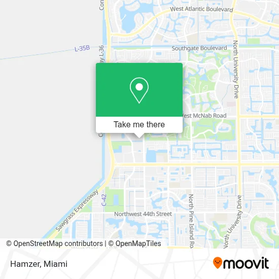Hamzer map