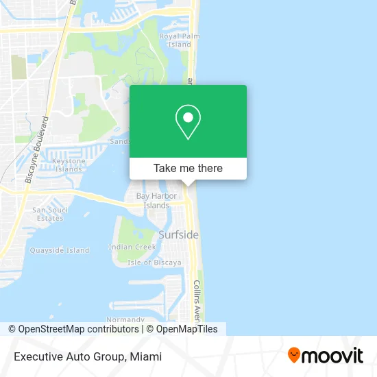 Executive Auto Group map