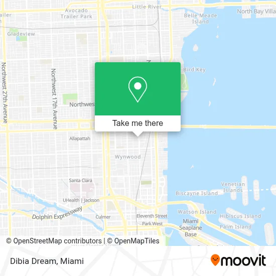 Dibia Dream map