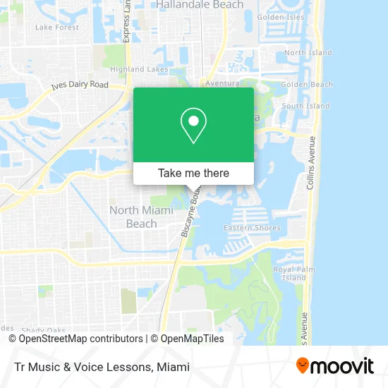 Tr Music & Voice Lessons map