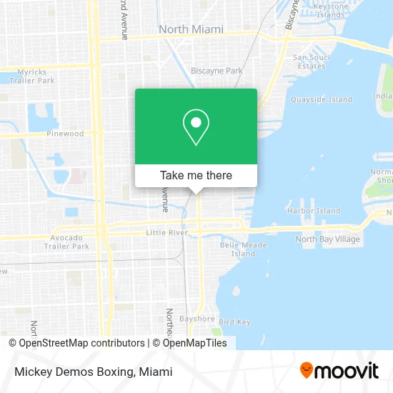 Mickey Demos Boxing map