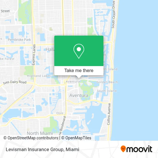 Levisman Insurance Group map