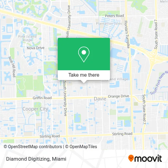 Diamond Digitizing map