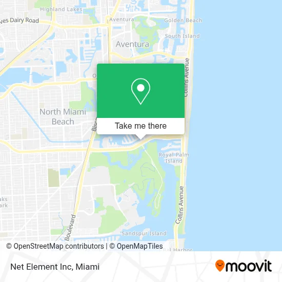 Net Element Inc map