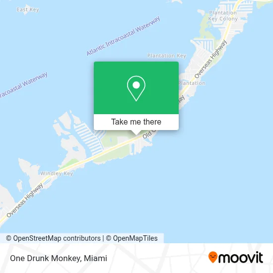 One Drunk Monkey map