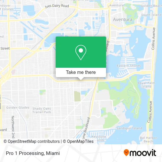Pro 1 Processing map