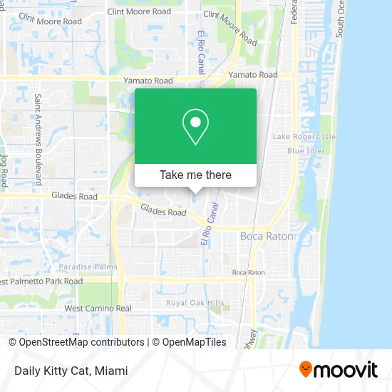 Daily Kitty Cat map
