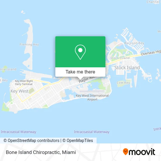 Bone Island Chiropractic map