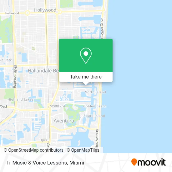 Tr Music & Voice Lessons map