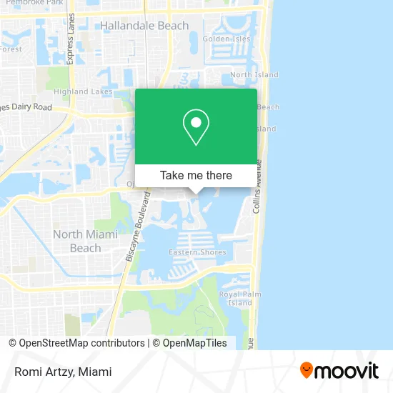 Romi Artzy map
