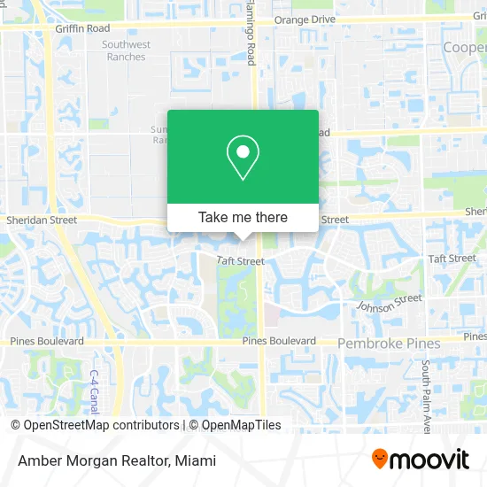 Amber Morgan Realtor map