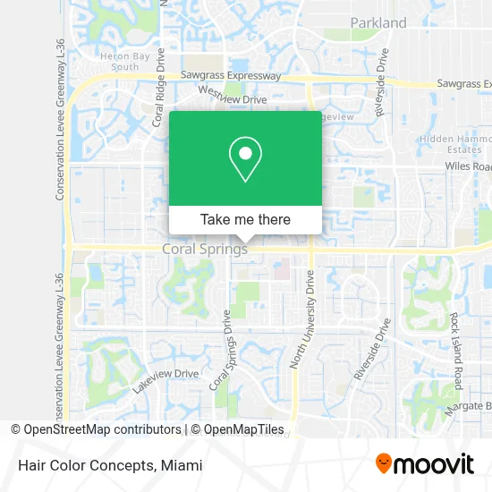 Hair Color Concepts map