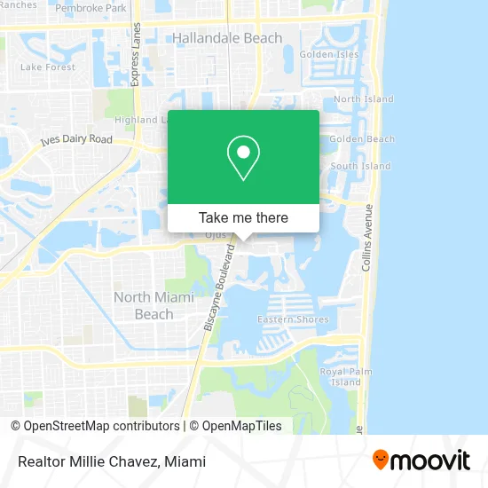 Realtor Millie Chavez map