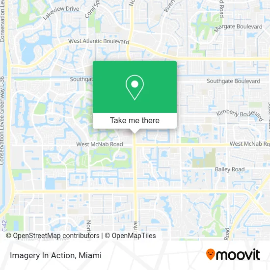 Imagery In Action map