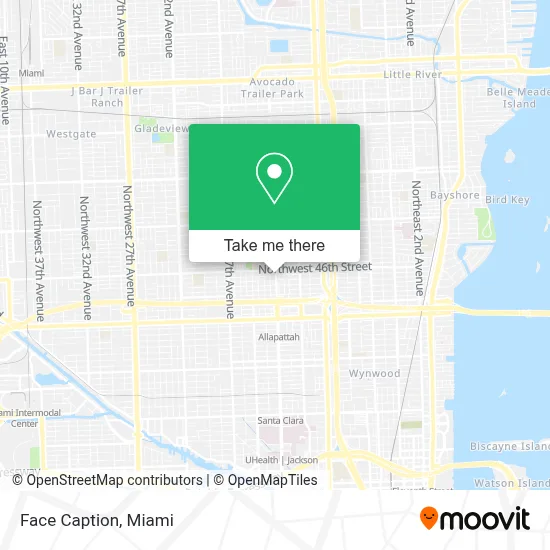 Face Caption map