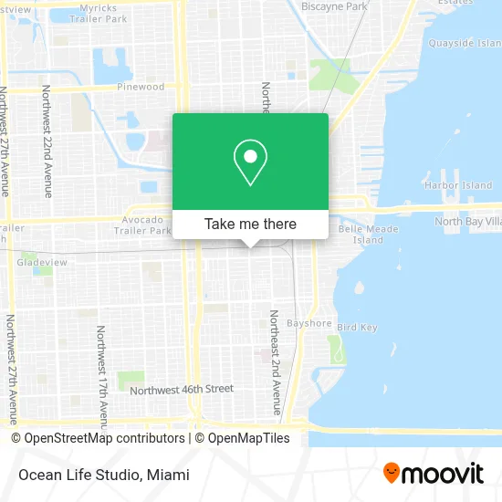 Ocean Life Studio map