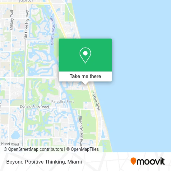Beyond Positive Thinking map