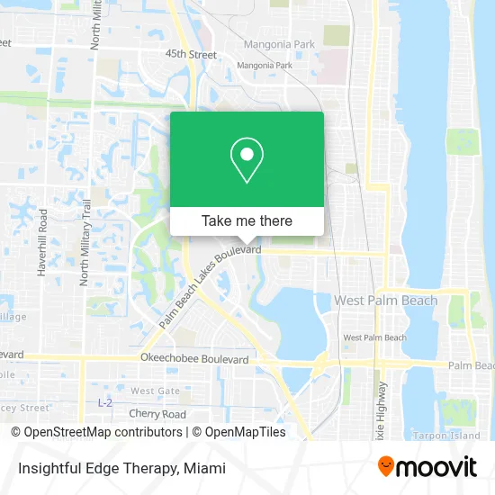 Insightful Edge Therapy map