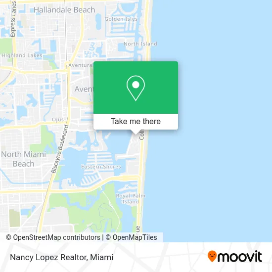 Nancy Lopez Realtor map