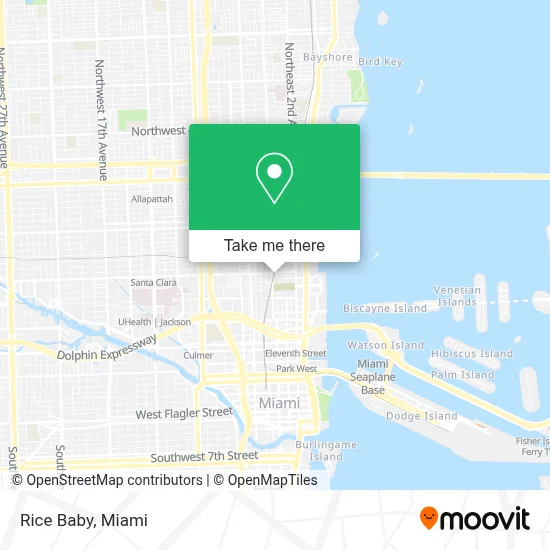 Rice Baby map