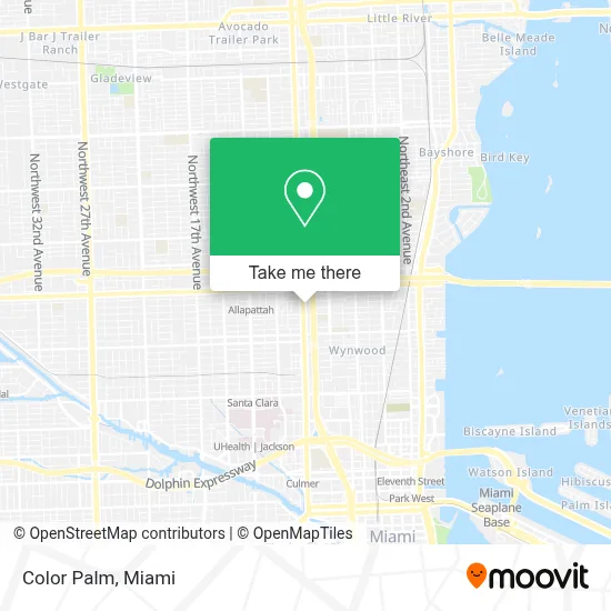 Color Palm map