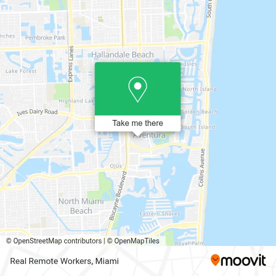 Real Remote Workers map