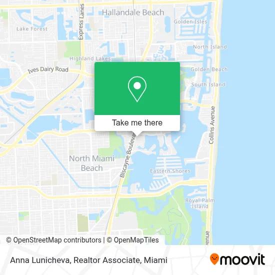Anna Lunicheva, Realtor Associate map