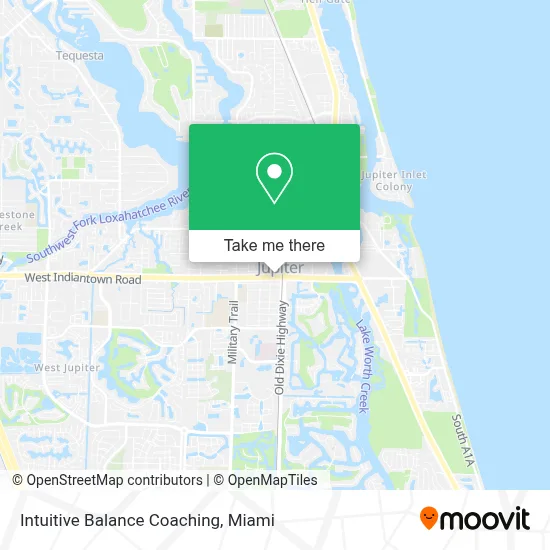 Intuitive Balance Coaching map