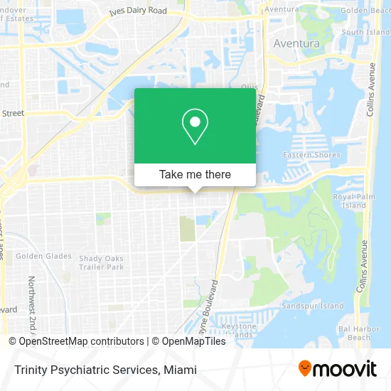 Trinity Psychiatric Services map