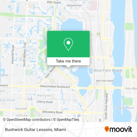 Bushwick Guitar Lessons map