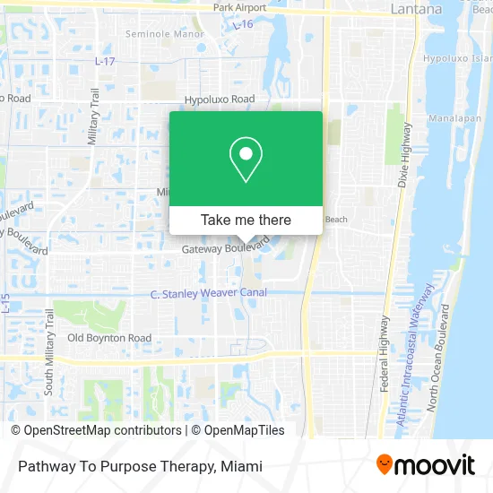 Pathway To Purpose Therapy map