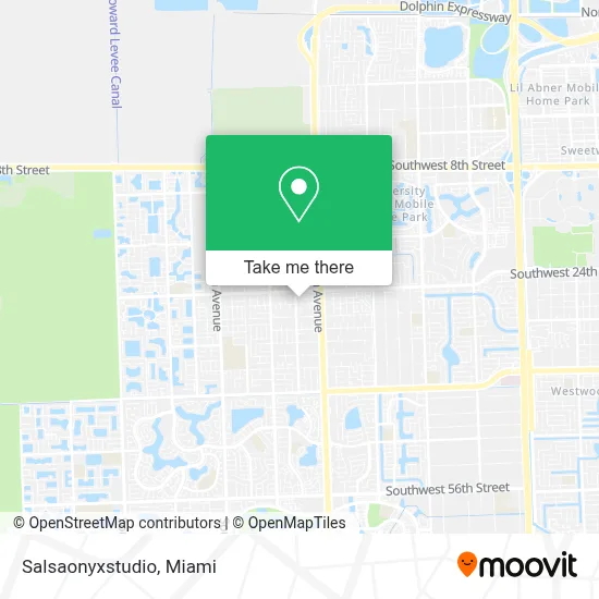 Salsaonyxstudio map