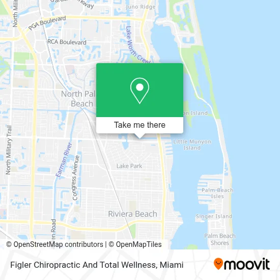 Figler Chiropractic And Total Wellness map