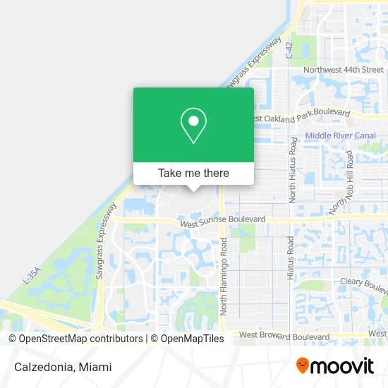 Calzedonia map