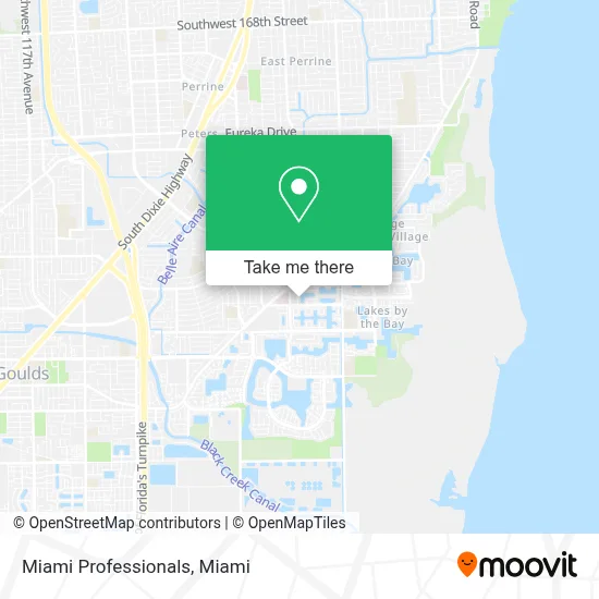 Miami Professionals map