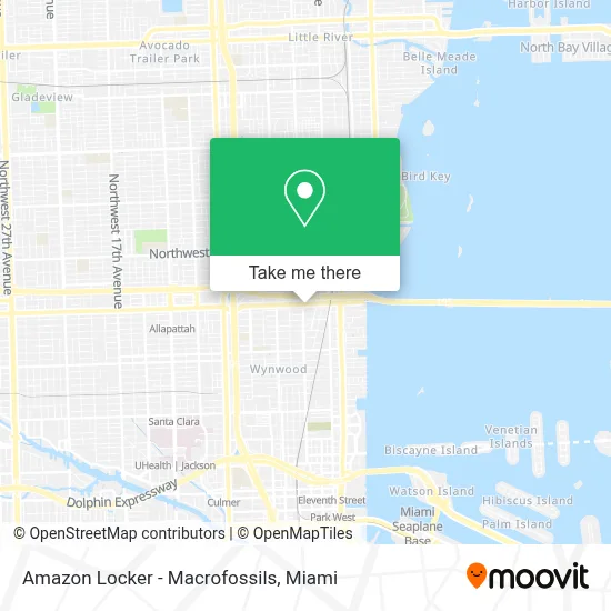 Amazon Locker - Macrofossils map