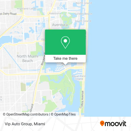 Vip Auto Group map