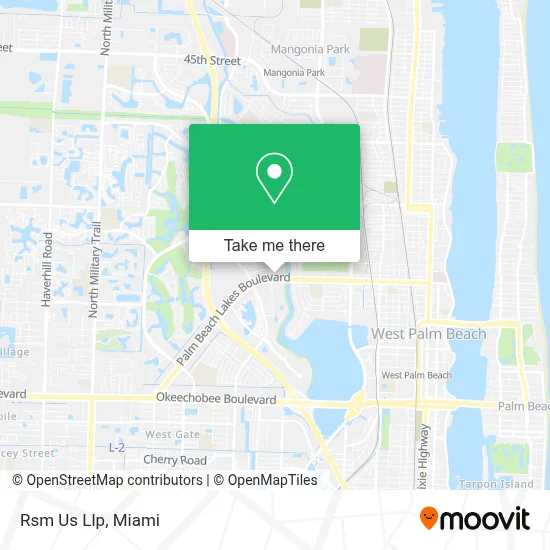 Rsm Us Llp map