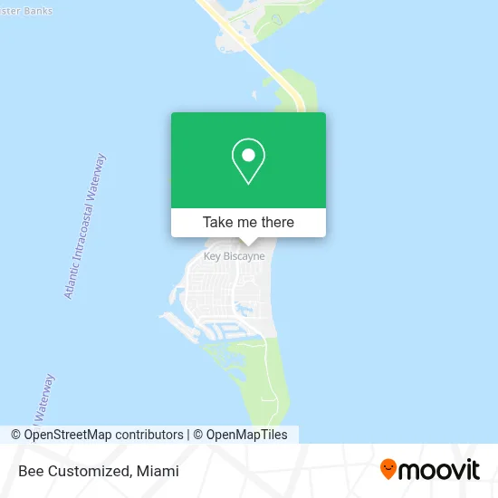 Bee Customized map