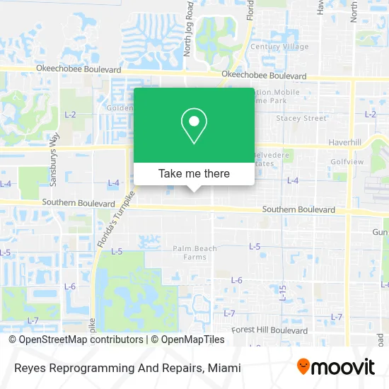 Reyes Reprogramming And Repairs map
