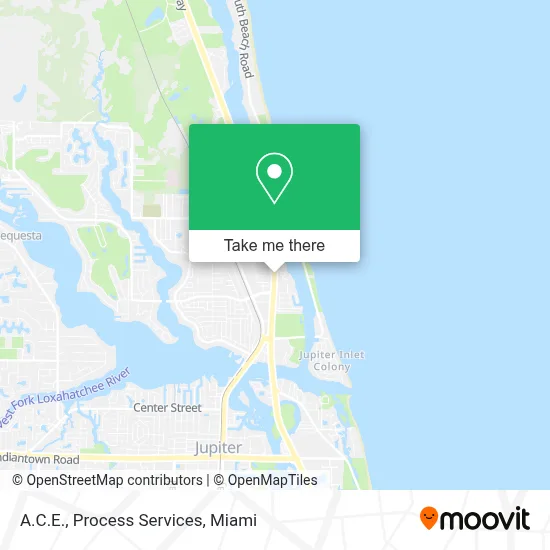 A.C.E., Process Services map