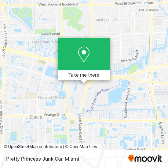 Pretty Princess Junk Car map