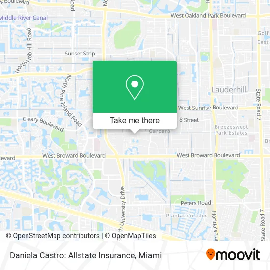 Daniela Castro: Allstate Insurance map