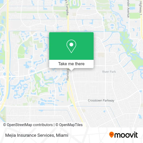 Mejia Insurance Services map