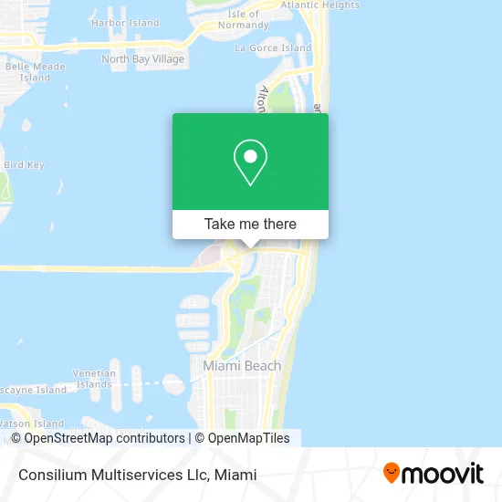 Consilium Multiservices Llc map