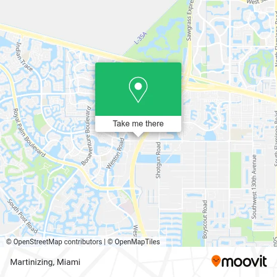 Martinizing map