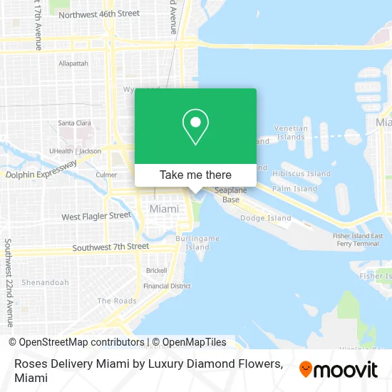 Roses Delivery Miami by Luxury Diamond Flowers map