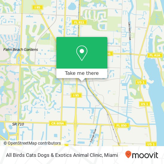 All Birds Cats Dogs & Exotics Animal Clinic map